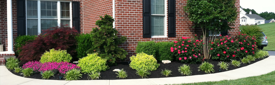 Top Seed Landscaping