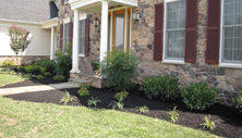 Top Seed Landscaping